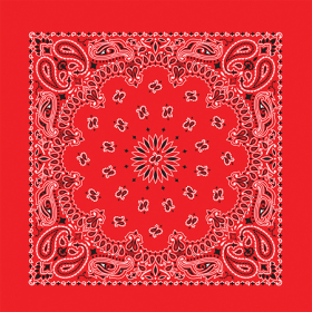 BANDANNA Paisley Red