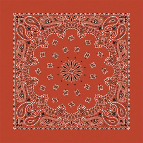 BANDANNA Paisley Terracotta 12pk