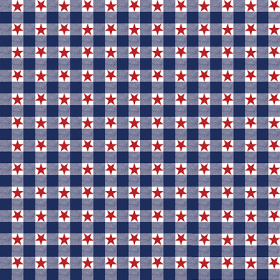 BANDANNA Patriotic Checkers