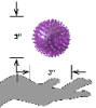 PETSPORT Gorilla Spiky Ball Squeak 2.8" M