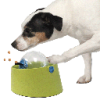 ETHICAL/SPOT Seek-A-Treat Puzzle Ball