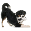 ETHICAL/SPOT Baa Baa Black Sheep 11"