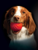 *STARMARK DuraFoam Ball Bacon 2.5" M