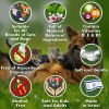 Ear Cleaner Wipes for Dogs and Puppies 100 Count Natural Medicated Cleansing Deodorizer Removes Dirt Wax