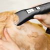 Black Pet Shaver For Dog Pet Grooming Supplies