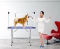 Large Grooming Table for Pet Dog with Adjustable Arm and Clamps Large Heavy Duty Animal grooming table, 42''/Blue