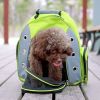 Pet Carrier Backpack With Mesh Widow Dog, Puppies Travel Bag, Green