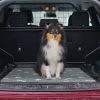 2Pcs Washable Pet Pee Pads For Puppies, Dogs  Reusable Potty Mats Machine Washable Pet Training Pads Non-Slip Waterproof Absorbent Dog Crate