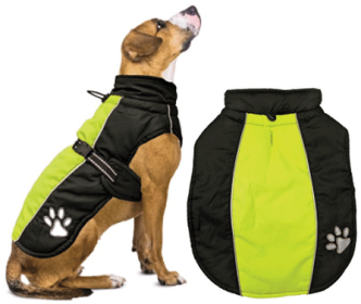 *FASHION PET Sporty Jacket Black/Green XXL (size: XX-Large)