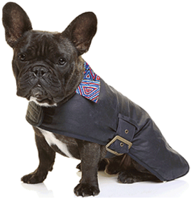 *OUTBACK TAILS Oil Skin Dog Coat Digging (size: Truffle L)